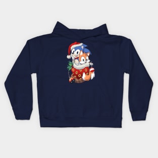 Stocking Stuffer: Hedgehog Kids Hoodie